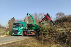 Das Potenzial zur Holznutzung in Baden-Württemberg ist noch längst nicht ausgereizt. Foto: F. Riester GmbH