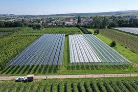 Die Solarmodule schützen die Apfelbäume u.a. vor zu starker Sonneneinstrahlung und Extremwetter. Foto: Fraunhofer ISE