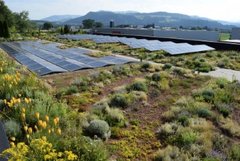 Wie Solar-Gründächer dauerhaft funktionieren können, wird beim Fachkongress ausführlich beschrieben. Foto: Bundesverband GebäudeGrün