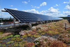 Das Solargründach vereint Photovoltaik und Dachbegrünung. Foto: BuGG e.V., G. Mann